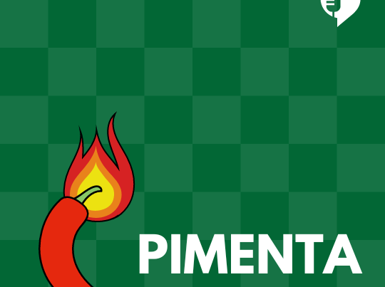 pajarito 2 | Nao Inviabilize